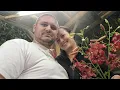 Download Lagu LIVE:🔴 под навеса, ей сега 😀🤣