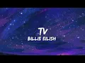 Download Lagu Billie Eilish - Tv ( lyrics)