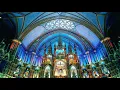 Download Lagu One Hour - Anima Christi - Pane Di Vita Nuova