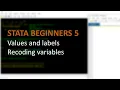 STATA BEGINNERS 5 recoding variables