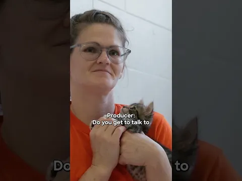 Inmates Help Foster Kittens 🐱  | 120 Hours Behind Bars | Discovery