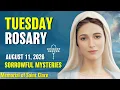 Rosary Tuesday Sorrowful Mysteries of the Rosary August 11 2026 Praying together