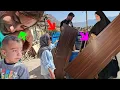 Lagu Documentary on Nomadic Life: Saif Ella's Efforts for a Better Life with Maryam and Arad
