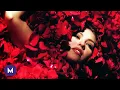Download Lagu Rosalinda (1999): Abertura traduzida