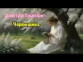 Дмитро Гнатюк "Черемшина"