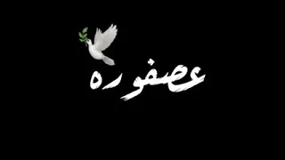 عصفوره بتنقل الكلام دي مش رجوله حالات واتس جديده  عصفوره بتنقل الكلام دي مش رجوله حالات واتس جديده