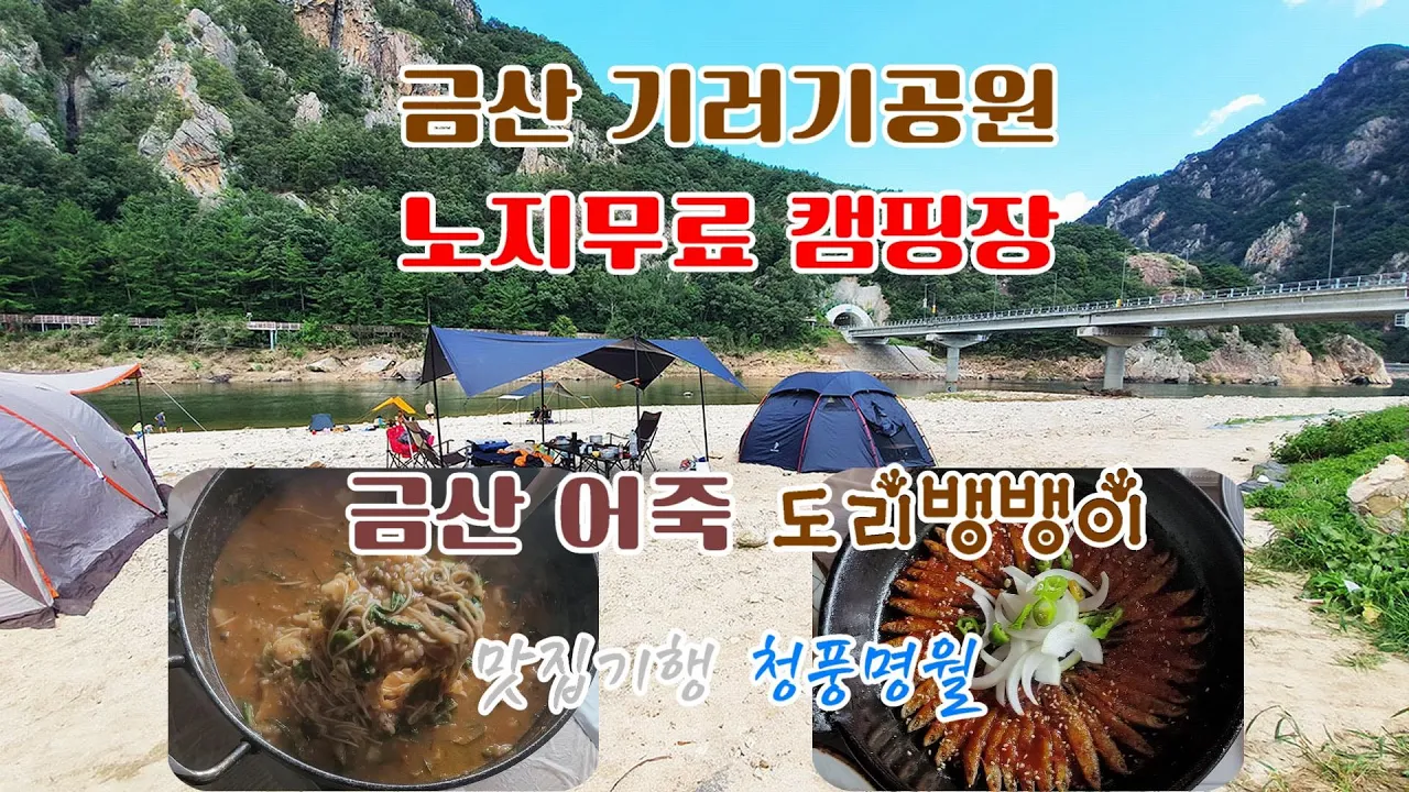 [캠핑장옆 맛집-1] 어죽 도리뱅뱅이 청풍명월 | 금산 기러기공원노지 무료캠핑장 サムネイル