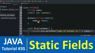 Java Tutorial - static Fields in Java Class Examples