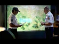 Download Lagu Why Was a Safety Alarm Ignored by Sukhoi Superjet 100 Pilots?