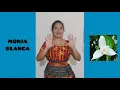 Download Lagu Poema a la Monja Blanca