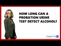 How Long Can A Probation Urine Test Detect Alcohol