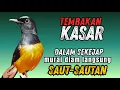 Lagu Murai batu gacor TEMBAKAN BRINGAS ampuh untuk MERANGSANG EMOSI murai malas bunyi !! langsung EMOSI