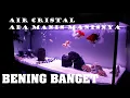 Download Lagu filter canister pipa 8 inch air aquarium bening kristal