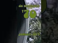 Lagu De maanden 70 [49] - januari 1974 - de hits