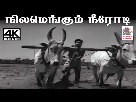 Nilamengum Neerodi - YouTube