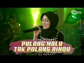 Download Lagu Pulang Malu Tak Pulang Rindu | Armada (Cover By Ning Mila)