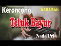 Download Lagu TELUK BAYUR ll KARAOKE KERONCONG ll ERNIE DJOHAN ll NADA PRIA A=DO