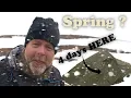 Download Lagu Solo camping and bird photography // Raycon Everyday Earbuds