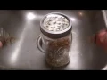 Sprouting Lentils For My Chickens
