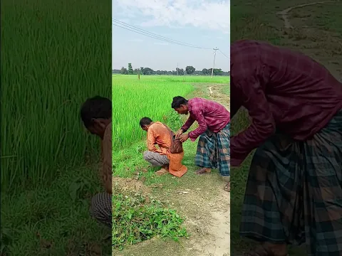 ২ লক্ষ টাকা ছিনতাই সবাই ভিডিওটা শেয়ার করে আমার মেয়ের জীবন বাঁচান 🍎🍎