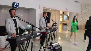 Гурт ЕШТРЕЛА Estrela Bend Чом трава зелена 