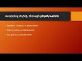 Week 11c SQL queries in phpMyAdmin Web Engineering by Kamran Ullah