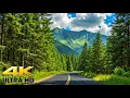 Olympic Peninsula Scenic Drive to Olympic National Park Washington 4K - Pacific Coast Mountains