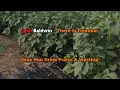 Josh Baldwin ~ There Is Freedom Lyric Video