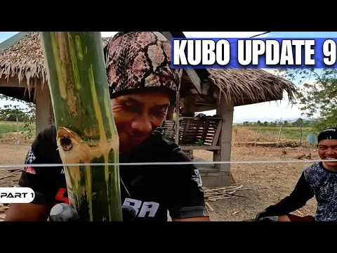 Download MP3 P1-KUBO UPDATE 9 - EP1341