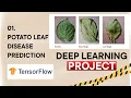 01 Deep Learning Project Series Potato Leaf Disease Prediction - drnimishadavis