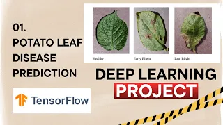 01 Deep Learning Project Series Potato Leaf Disease Prediction - drnimishadavis