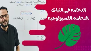 1 شرح الدعامه الفسيولوجيه كاملة الافكار مراجعه الخاصيه الاسموزية والعلاقات البيانية 
