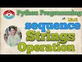 17 PYTHON PROGRAMMING - STRING CONCATENATION REPLICATION SLICING Hindi