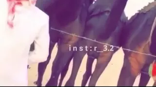   حن  موسمة العصا لقصراها  نرخص الآروآح من دون ابلنا  دندنها