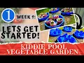 KIDDIE POOL VEGETABLE GARDEN - Week 1 Site Setup Soil Preparation Container Gardening DIY