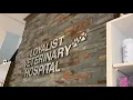 Take a Tour of Loyalist Veterinary Hospital