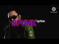 Duane Stephenson Forever Yours Lyric video (Relationship Riddim) | SPUNK Lyrics #reggae #music