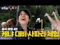 Download Lagu [SUB] 드디어 기린영상 풉니다!  미쳐버린(positive) 광저우 동물원 클라스⎟창롱동물원⎟조’무계획’의 중국여행기 ep.4