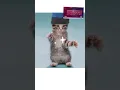 Download Lagu patli kamariyo more hai hai hai #patlikamariya #patli #funny #cat #kitty #cute #catlover #kitten