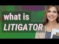 Litigator meaning of Litigator