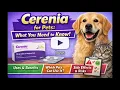Cerenia for Dogs Cats The Truth About This Powerful Anti-Vomiting Drug