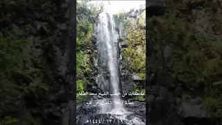 مقتطفات من خطبة أفلا شققت عن قلبه بتاريخ ١٩ ١٢ ١٤٤٤ اخوكم سعد الصفار 4 