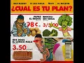Bad Bunny, Ñejo, PJ Sin Suela - ¿Cuál Es Tu Plan? (Audio) ft. DJ Nelson