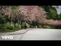 Download Lagu Powfu, Sara Kays, Sarcastic Sounds - the long way home