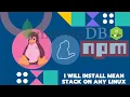I will Install MEAN STACK on any Linux