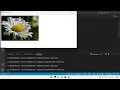 3 Add Image On Applet
