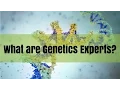 What are Genetics Experts