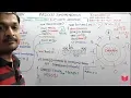 4 15 - Dining Philosophers Problem Solution Using Semaphore In Operating System In Hindi