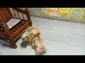 Download Lagu https://youtu.be/qdEAkHk1E1c?si=Fw47tviM-HDBod4c