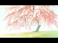 Myuk - Sakura (Music Video)